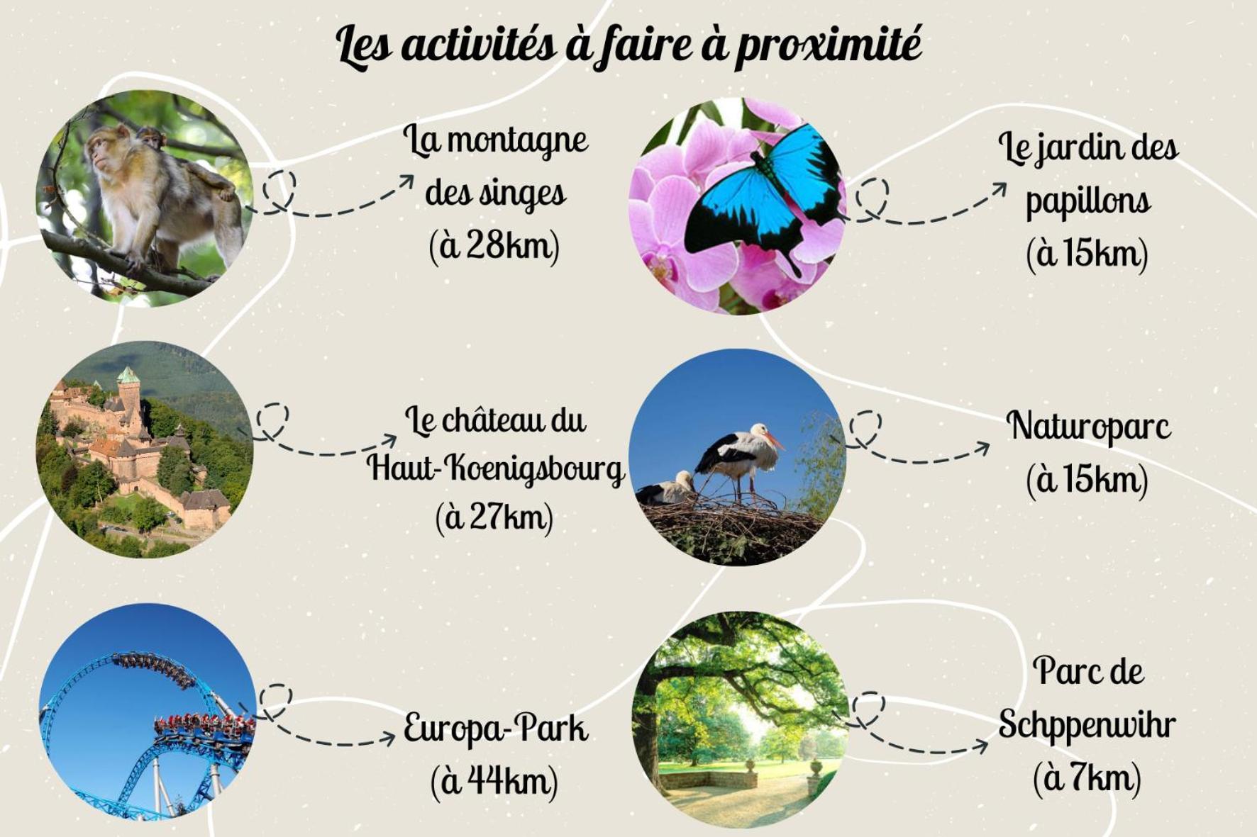 Le Rosacker - Proche Centre Ville Et Gare - Terrasse - Parking Gratuit 2 Places - 2 Chambres - 2 Salles De Bain - Netflix Colmar Kültér fotó